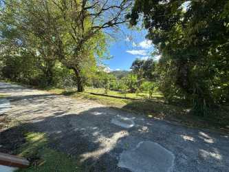 Driveway surrounded by tropical vegetation in El Valle de Antón Panama