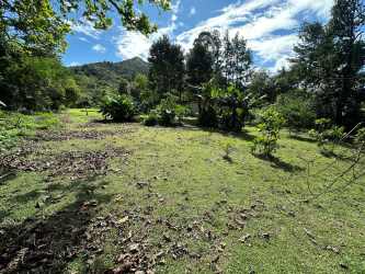 Spacious natural terrain with shade trees at El Valle coclé Panama land for sale