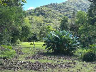 Lush tropical greenery with open lawn and mountain views, El Valle de Antón