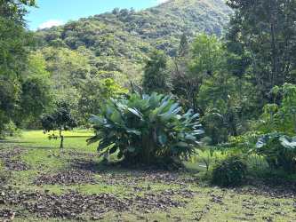 Lush tropical mountain landscape with mature trees and Cerro El Gaital backdrop in El Valle de Antón
