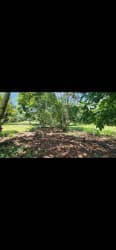 Large developable lot with mature trees in Capira El Coco area Panama Oeste