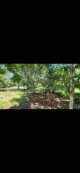 Tranquil wooded residential land for sale in El Coco Capira, perfect for nature lovers