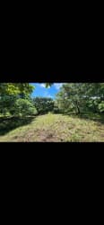 Open buildable plot bordered by mature woodlands adjacent to residential Mirador El Coco Capira Panama