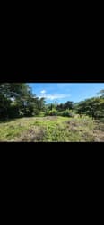 Large residential land plot with open space and trees for sale in Capira Panama