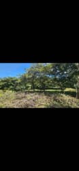 Natural wooded landscape with open area in Capira Panama Oeste near El Coco
