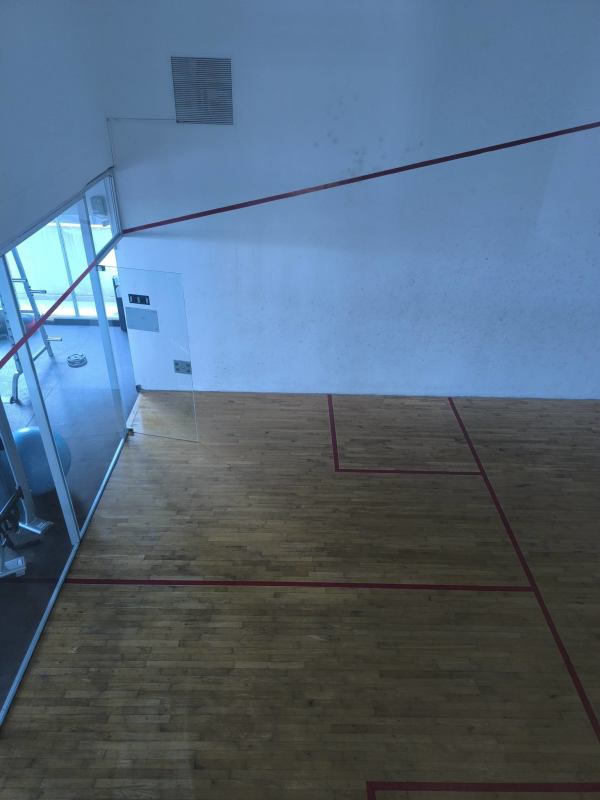 Private home theater acoustic panels PH Sky luxury condo Panama City