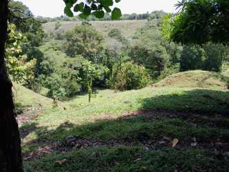 Simple rural entry fence in pasture land field at Altos de Jacu property Chiriqui Panama