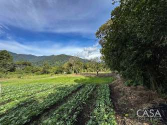 Farmland bordered by trees and mountain peaks ideal for residential or farming Alto Lino Boquete Panama
