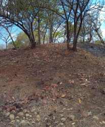 Flowing stream among rocks and trees within land parcel San Carlos Panama