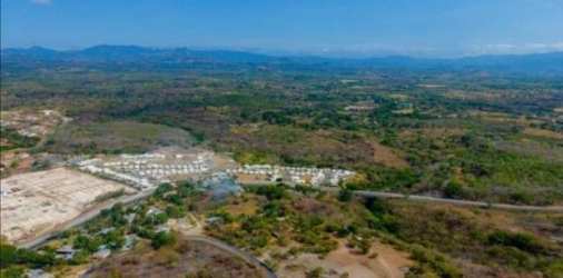 Vacant undeveloped lot with dry vegetation and scattered trees next to Panamericana