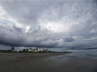 Open green land with mature trees and fencing in Playa El Rompío beach area Los Santos