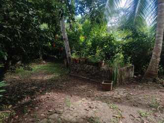 Red metal roof with solar panels surrounded by tropical vegetation in off-grid Panama beach home