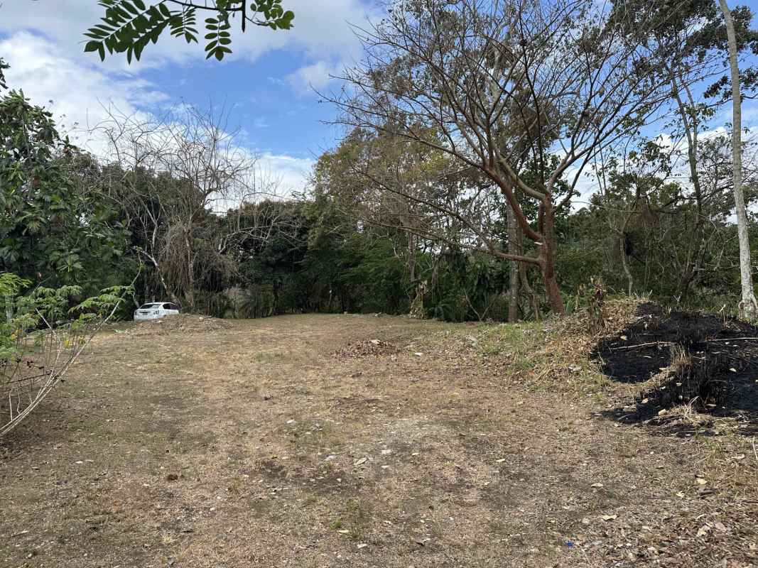 8.5 Hectares Land for Sale in Chivo Chivo, Las Cumbres in Panama - View 2