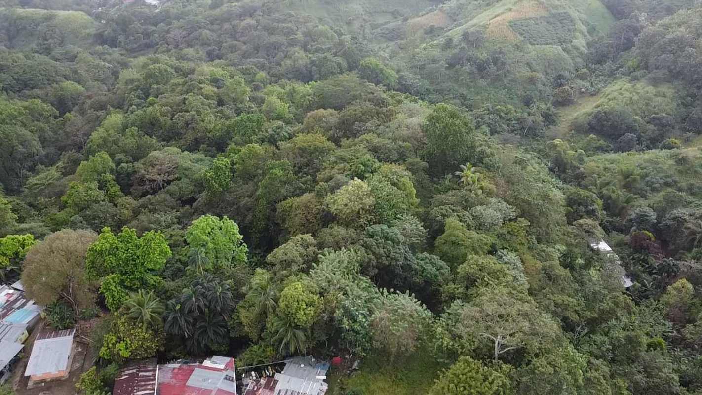 8.5 Hectares Land for Sale in Chivo Chivo, Las Cumbres in Panama - View 4