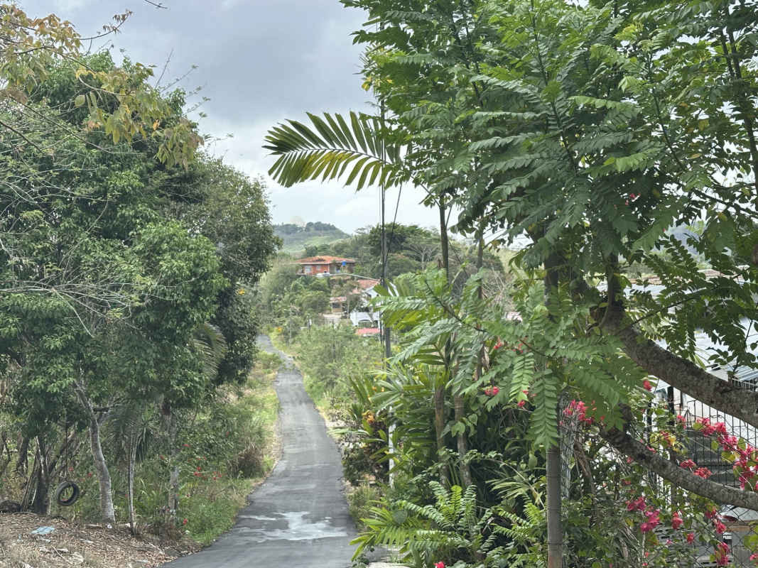 8.5 Hectares Land for Sale in Chivo Chivo, Las Cumbres in Panama - View 5