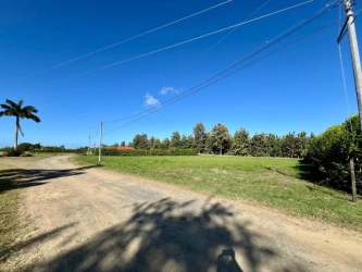 Flat rural lot bordered by trees with clear land for building in Pedasí Los Santos Panama