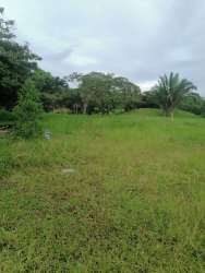 Vacant natural land with abundant green grass, trees and Gatun Lake in background, La Arenosa Panama