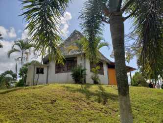 Elevated tropical style farmhouse surrounded by palm trees and lawns in La Arenosa Panama