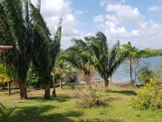 Large open grassy field with trees and lake background in La Arenosa Chorrera Panama