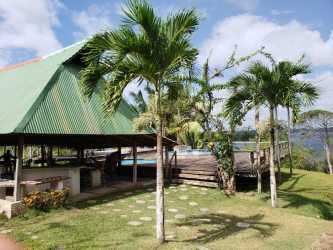 Thatched roof pavilion, palm trees, shaded seating near water front La Arenosa, Chorrera