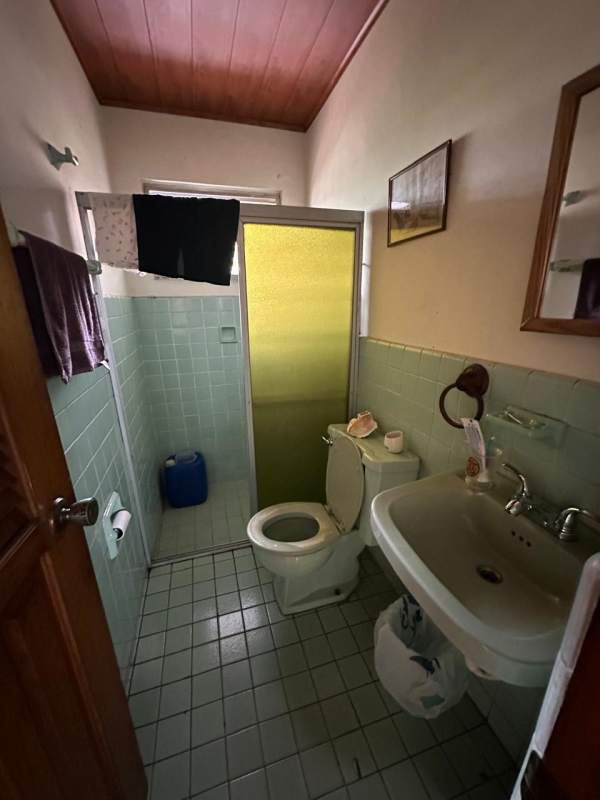 Lush garden patio space with trees and tiled walkway Betania Panama