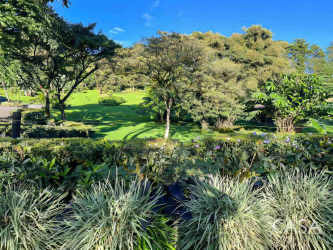 Tropical gardens with fruit trees and mature landscaping on 37 hectare estate in Volcán