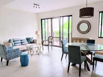 Modern kitchen with dark wood cabinets and appliances in PH River Valley Panama Pacifico
