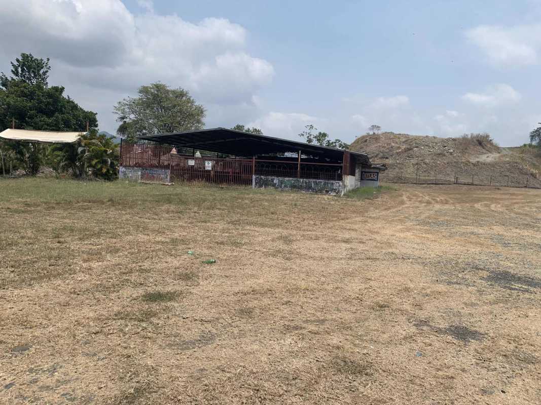 Large open rustic shed with fenced area surrounded by flat grassy land perfect for commercial development in Chepo Panama