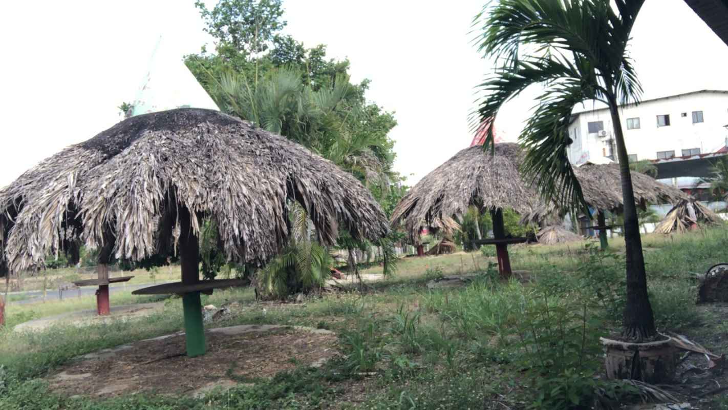 Flat development-ready land with rustic palapa huts and tropical landscaping Chepo Panama for sale