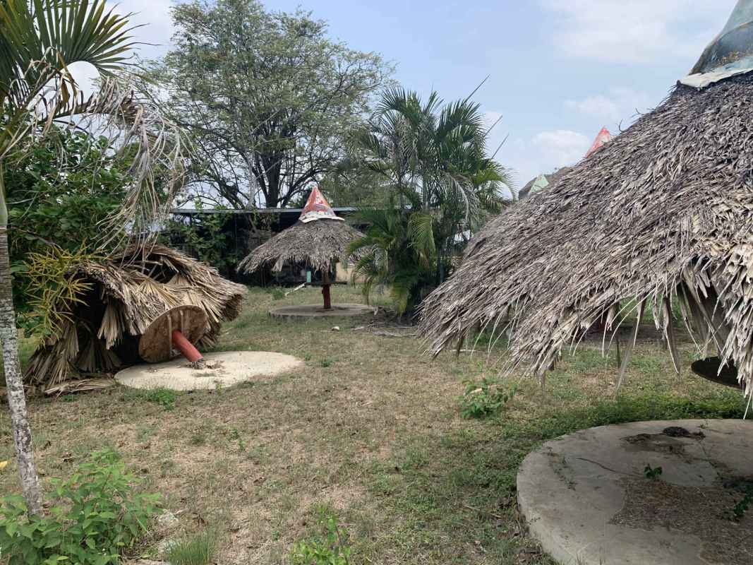Rustic palm-thatched palapas on flat open land in Chepo Panama ideal for redevelopment