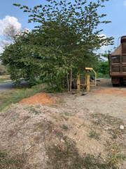 Land for Sale in Las Margaritas - 0 bedrooms