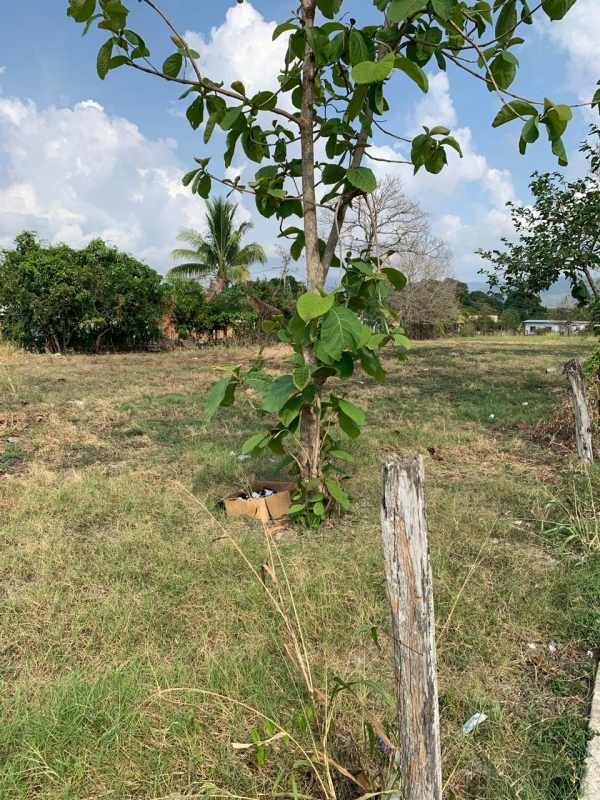 Flat Residential Land Chepo Las Margaritas Full Block