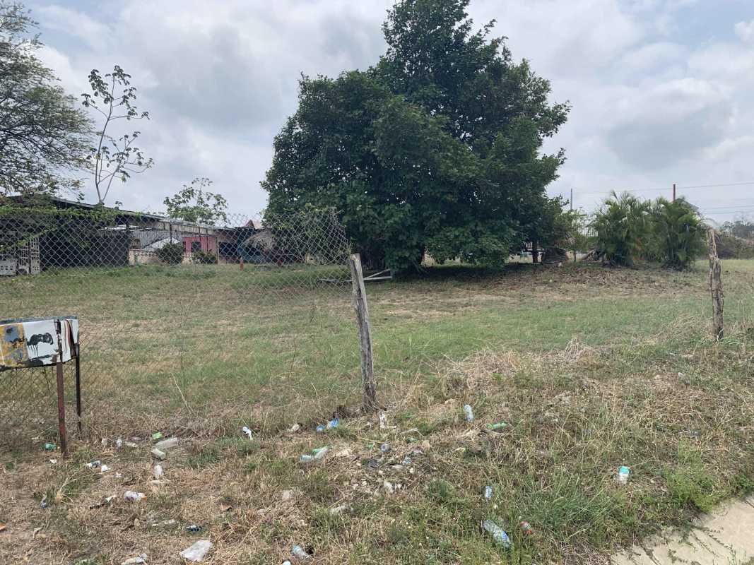 Vacant fence-surrounded land block with trees and open view in Chepo Las Margaritas Panama