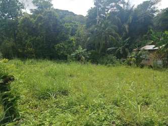 4,000 m2 Roadfront Land near River El Cacao Capira