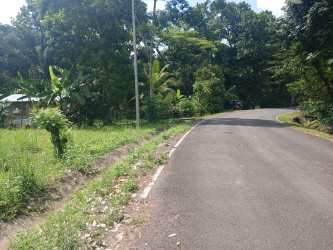 Curved paved road lined with tropical vegetation adjacent vacant lot Capira Panama
