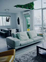 Penthouse Loft Apartment for Rent in San Francisco - 3 bedrooms