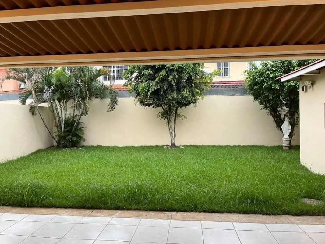 Fenced backyard garden with lawn, decorative palms and relaxing corner at Torres de Toscana Condado del Rey Panama