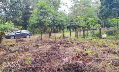 Flat 2166 m² Lot in Maguey Caldera Boquete