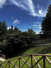 Single Family Home for Sale in Las Lajas - 2 bedrooms