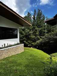 Open concept living area with stone fireplace and green nature views Panama