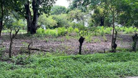 Compacted stone road bordering Las Lagartijas development land in San Carlos Panama