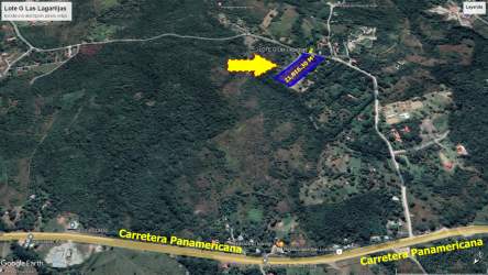 Wooded natural landscape within the development site Las Lagartijas San Carlos Panama