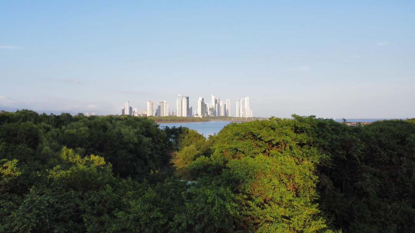 Dense mangroves waterfront panoramic skyline coco del mar luxury property for sale