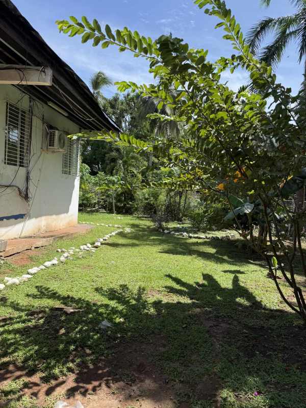 Single-story home lush garden stone path AC units tropical Coco del Mar Panama