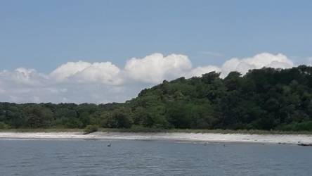 Calm white sand beach with natural vegetation in coastal Los Azules Anton Panama development land