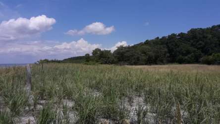 Natural beachfront landscape white sand calm seas at Los Azules Anton Panama future project site
