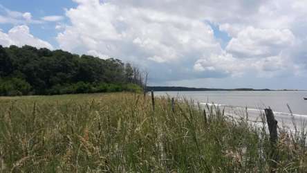 Sand dunes tall grass and forested backdrops along oceanfront property in Los Azules Antón