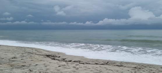 Pacific Ocean sandy beach just steps from 8 hectare development land La Ermita San Carlos Panama