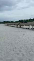 Land for Sale in San Carlos - 0 bedrooms