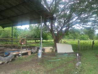 Farm / Land Lot for Sale in Pajonal, Chiguirí Arriba - 0 bedrooms